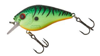 Gunki Kraken 55 F - 